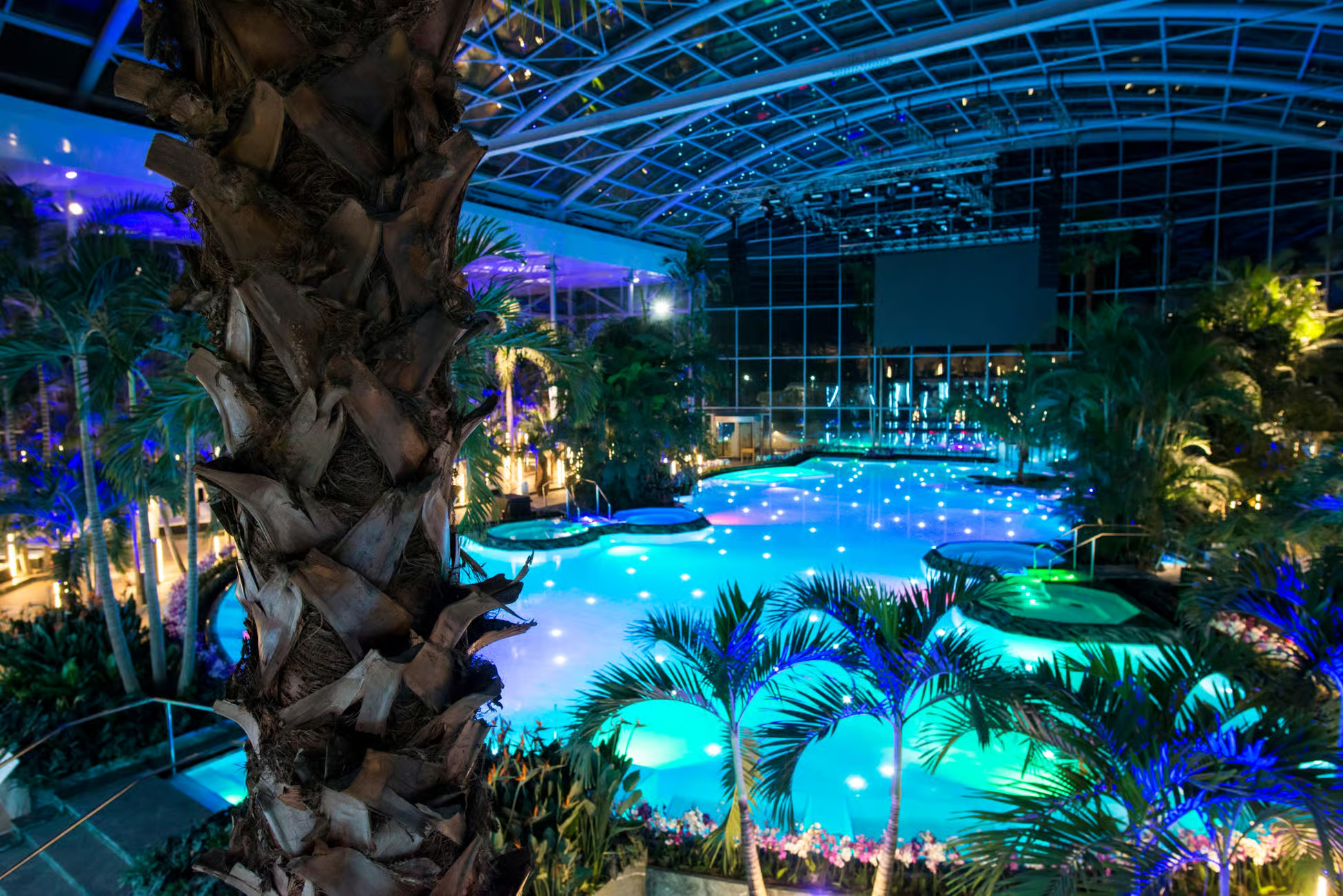 Aerial view of Bucharest Therme, Europe’s largest spa, showcasing its tropical pools, indoor and outdoor areas, and lush themed gardens.
