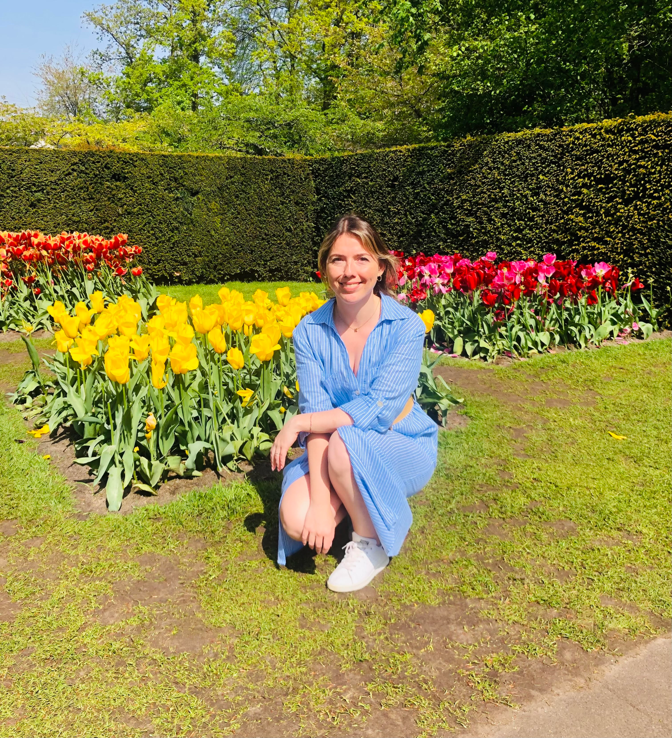Colourful tulip displays at Keukenhof Garden during spring in the Netherlands
