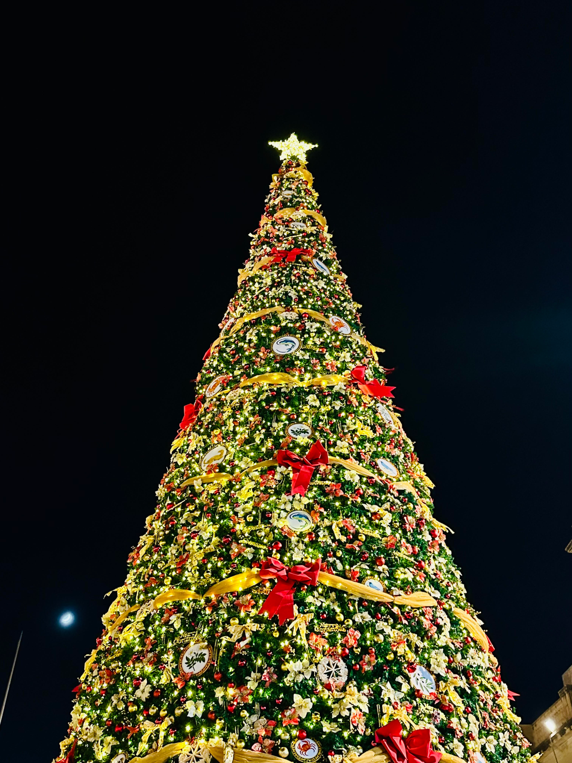 Valletta’s national Christmas tree in front of the Parliament building, decorated in red and gold with festive lights and ornaments.