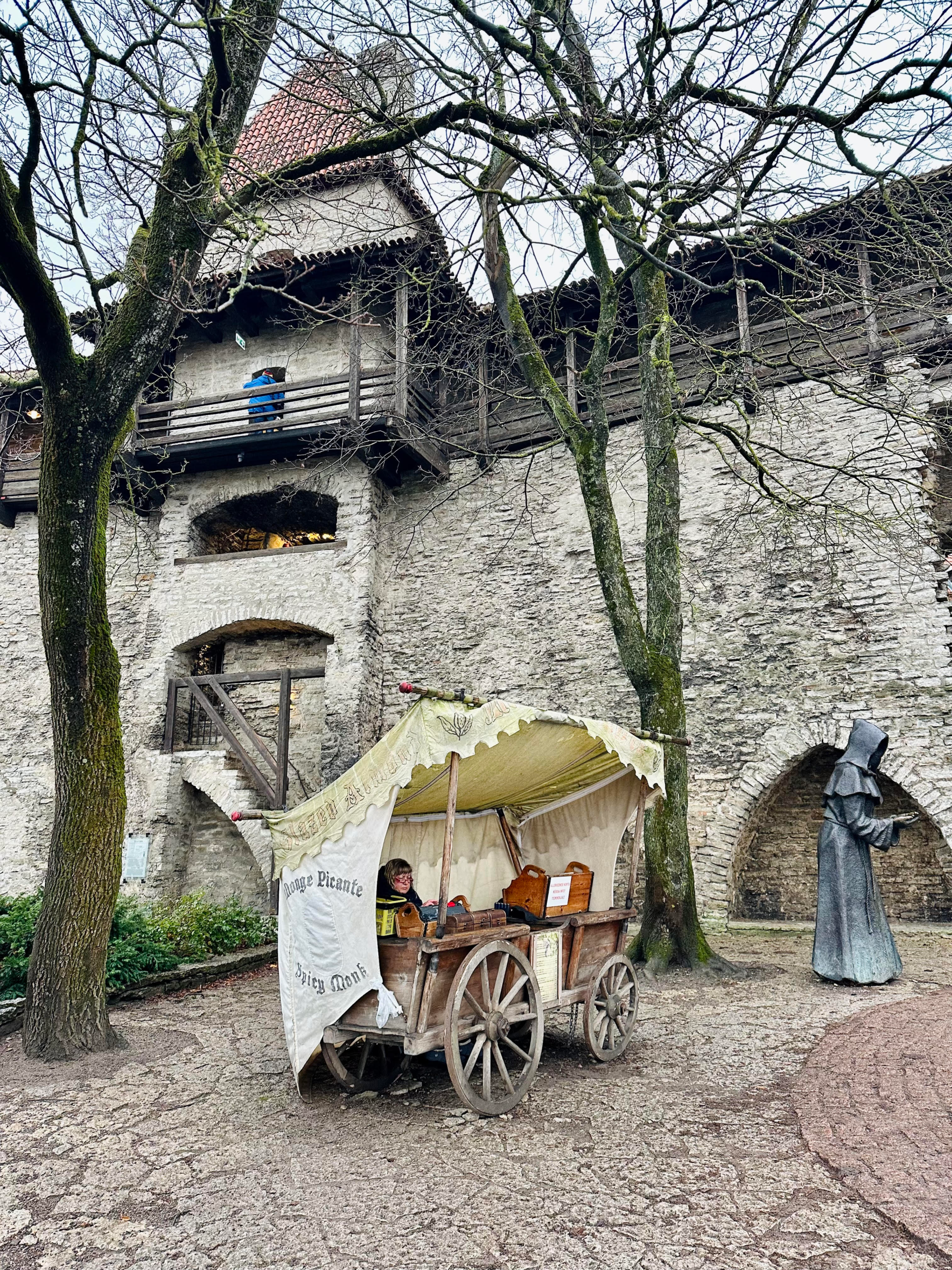 View of Tallinn’s medieval walls from the Danish King’s Garden, a stunning perspective of the Old Town